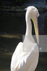 信用卡逾期纳入呆账 信用卡逾期纳入呆账