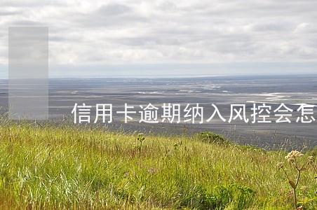 信用卡逾期纳入风控会怎样