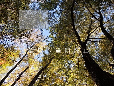 信用卡逾期终止 信用卡逾期终止