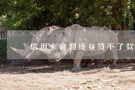信用卡逾期终身贷不了款吗 信用卡逾期终身贷不了款吗