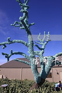 信用卡逾期经侦交检察院 信用卡逾期经侦交检察院