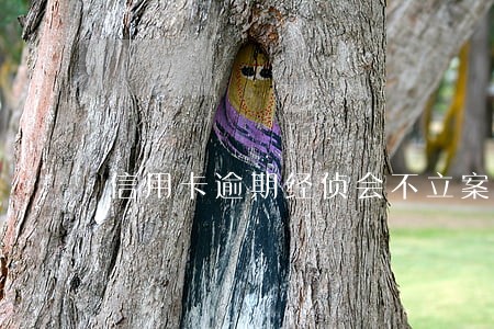 信用卡逾期经侦会不立案传唤吗 信用卡逾期经侦会不立案传唤吗
