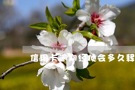 信用卡逾期经侦会多久释放 信用卡逾期经侦会多久释放