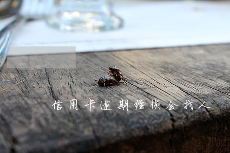 信用卡逾期经侦会找人 信用卡逾期经侦会找人