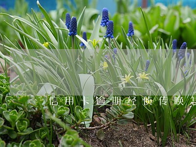 信用卡逾期经侦传唤怎么解决
