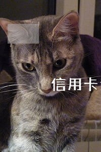 信用卡逾期经侦大队立案流程 信用卡逾期经侦大队立案流程