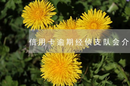 信用卡逾期经侦支队会介入吗 信用卡逾期经侦支队会介入吗