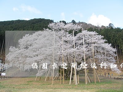 信用卡逾期经侦科如何 信用卡逾期经侦科如何