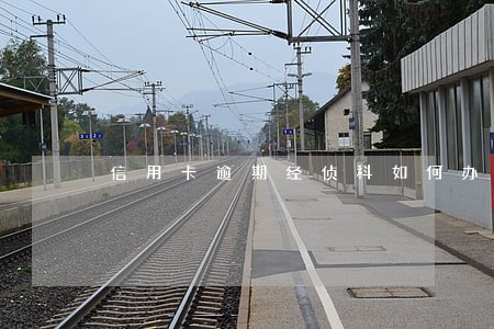 信用卡逾期经侦科如何办案 信用卡逾期经侦科如何办案