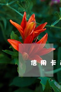 信用卡逾期经侦立案了 信用卡逾期经侦立案了