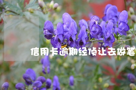 信用卡逾期经侦让去做笔录 信用卡逾期经侦让去做笔录