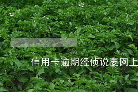 信用卡逾期经侦说要网上通缉 信用卡逾期经侦说要网上通缉