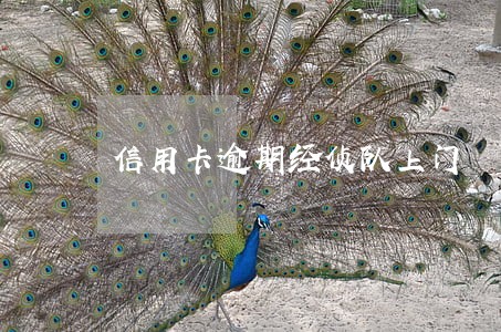信用卡逾期经侦队上门