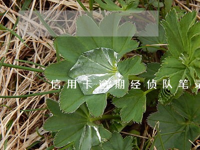 信用卡逾期经侦队笔录 信用卡逾期经侦队笔录