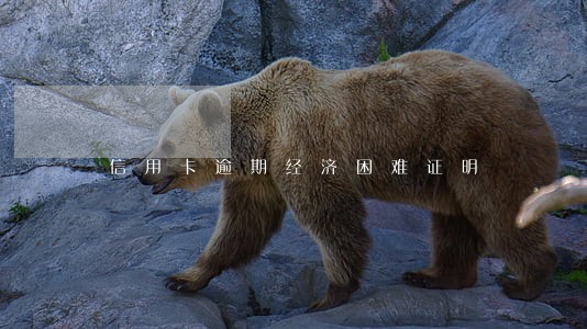 信用卡逾期经济困难证明 信用卡逾期经济困难证明