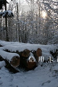 信用卡逾期经济效益 信用卡逾期经济效益
