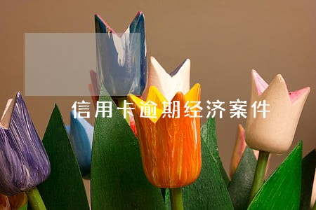 信用卡逾期经济案件 信用卡逾期经济案件