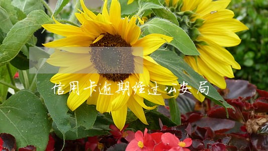 信用卡逾期经过公安局 信用卡逾期经过公安局