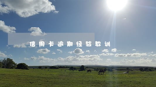 信用卡逾期经验教训 信用卡逾期经验教训