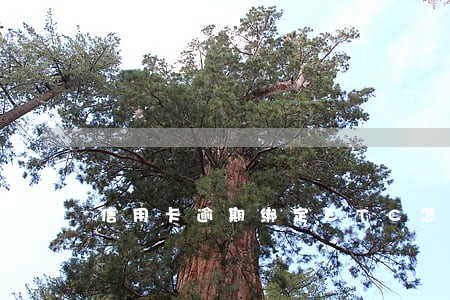 信用卡逾期绑定ETC怎么办 信用卡逾期绑定ETC怎么办