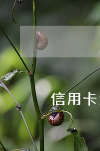 信用卡逾期绑定不了刷卡机怎么办 信用卡逾期绑定不了刷卡机怎么办
