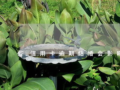 信用卡逾期结婚会影响吗 信用卡逾期结婚会影响吗
