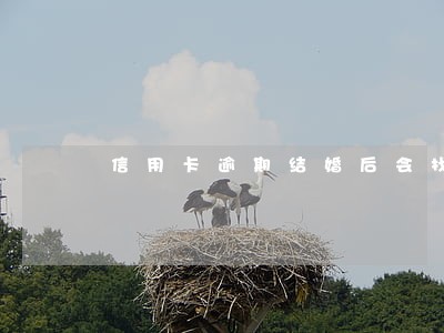 信用卡逾期结婚后会找上婆家吗 信用卡逾期结婚后会找上婆家吗