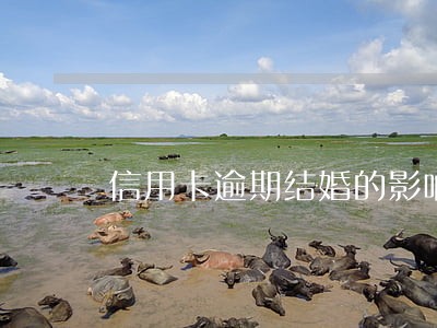 信用卡逾期结婚的影响 信用卡逾期结婚的影响