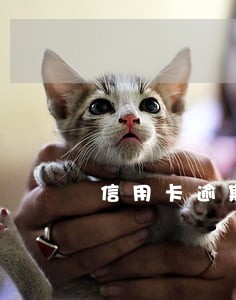 信用卡逾期结清4年 信用卡逾期结清4年