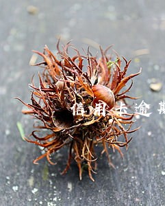 信用卡逾期结清会影响 信用卡逾期结清会影响