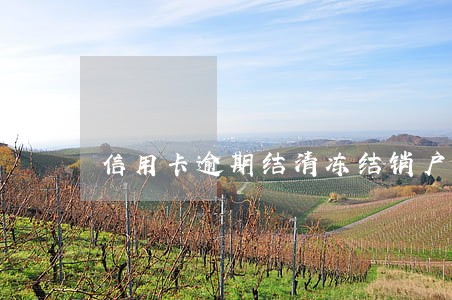 信用卡逾期结清冻结销户