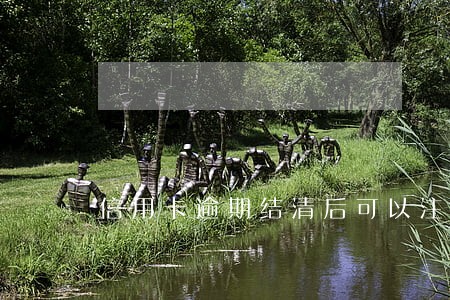 信用卡逾期结清后可以注销吗 信用卡逾期结清后可以注销吗