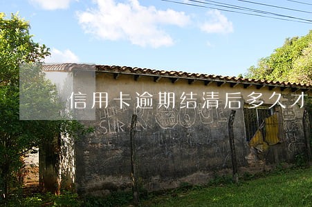 信用卡逾期结清后多久才能 信用卡逾期结清后多久才能