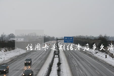 信用卡逾期结清后多久消除