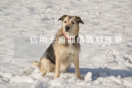 信用卡逾期结清对账单 信用卡逾期结清对账单