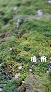 信用卡逾期结清尾款 信用卡逾期结清尾款