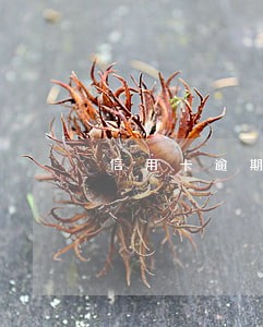 信用卡逾期结清建议销卡 信用卡逾期结清建议销卡