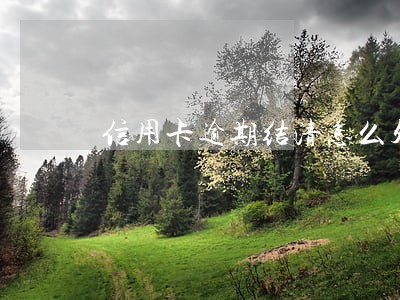 信用卡逾期结清怎么处理 信用卡逾期结清怎么处理
