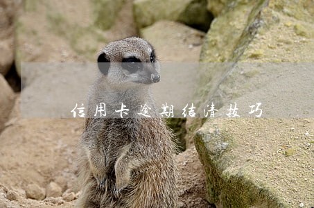 信用卡逾期结清技巧 信用卡逾期结清技巧