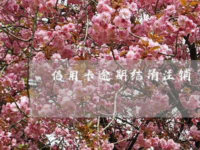 信用卡逾期结清注销