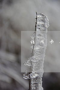 信用卡逾期结清注销后还能申请吗 信用卡逾期结清注销后还能申请吗