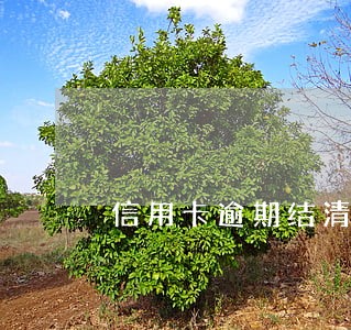 信用卡逾期结清证明作用 信用卡逾期结清证明作用