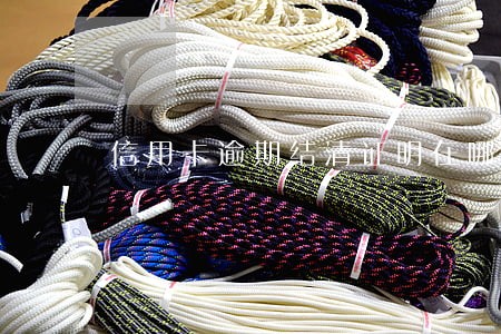 信用卡逾期结清证明在哪打 信用卡逾期结清证明在哪打