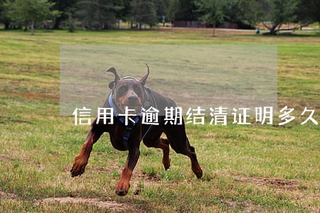 信用卡逾期结清证明多久能开 信用卡逾期结清证明多久能开