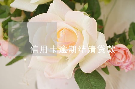 信用卡逾期结清贷款 信用卡逾期结清贷款