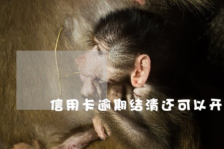 信用卡逾期结清还可以开卡吗 信用卡逾期结清还可以开卡吗
