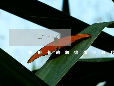 信用卡逾期结清还款代办 信用卡逾期结清还款代办