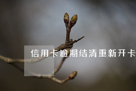 信用卡逾期结清重新开卡 信用卡逾期结清重新开卡