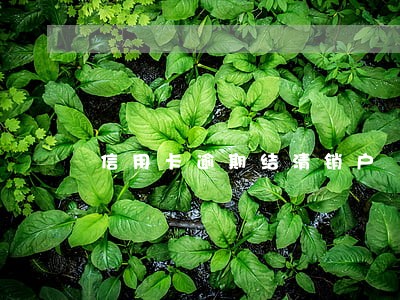 信用卡逾期结清销户 信用卡逾期结清销户