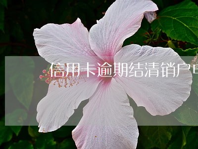 信用卡逾期结清销户申请 信用卡逾期结清销户申请